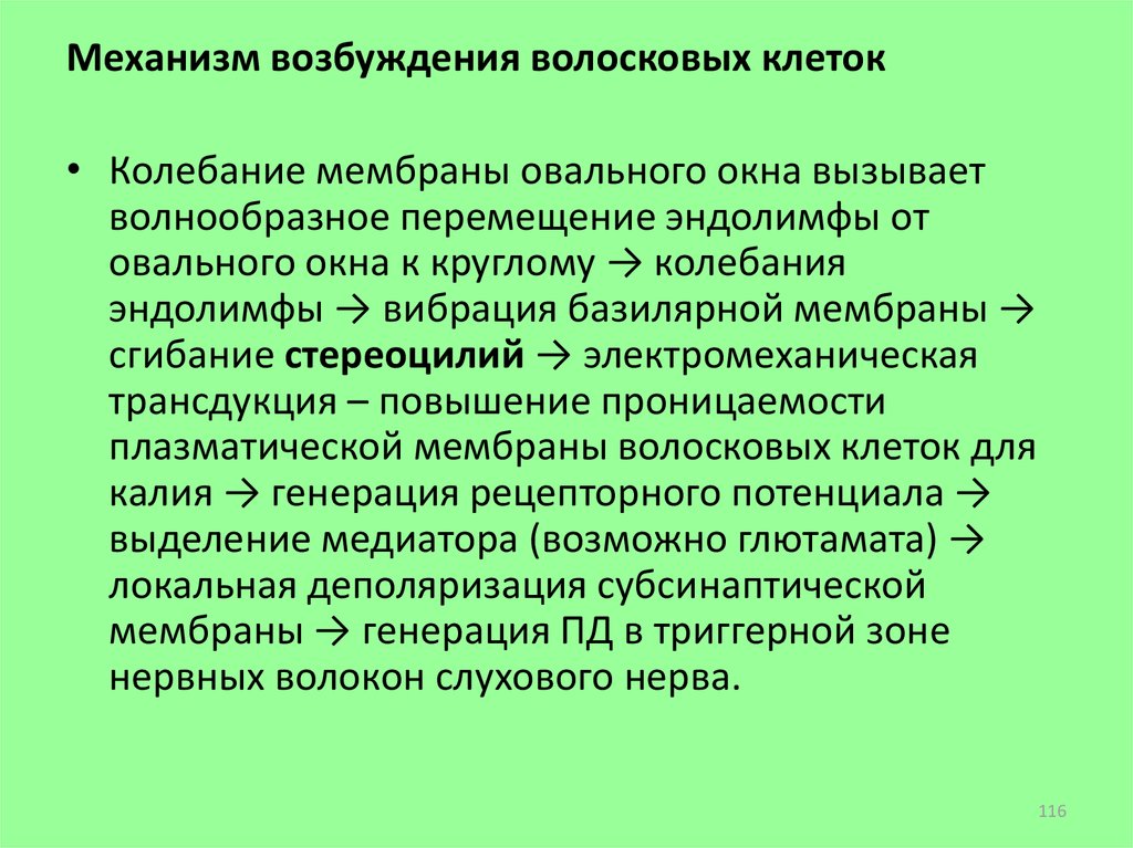 Механизм возбуждения. Механизм возбуждения клетки. Механизмы возбудимости. Механизм возбуждения физиология.