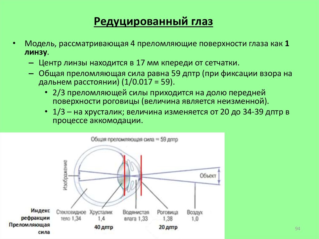 Сила зрения. Модель редуцированного глаза. Преломляющая сила глаза. Суммарная преломляющая сила глаза это. Преломляющие поверхности глаза.