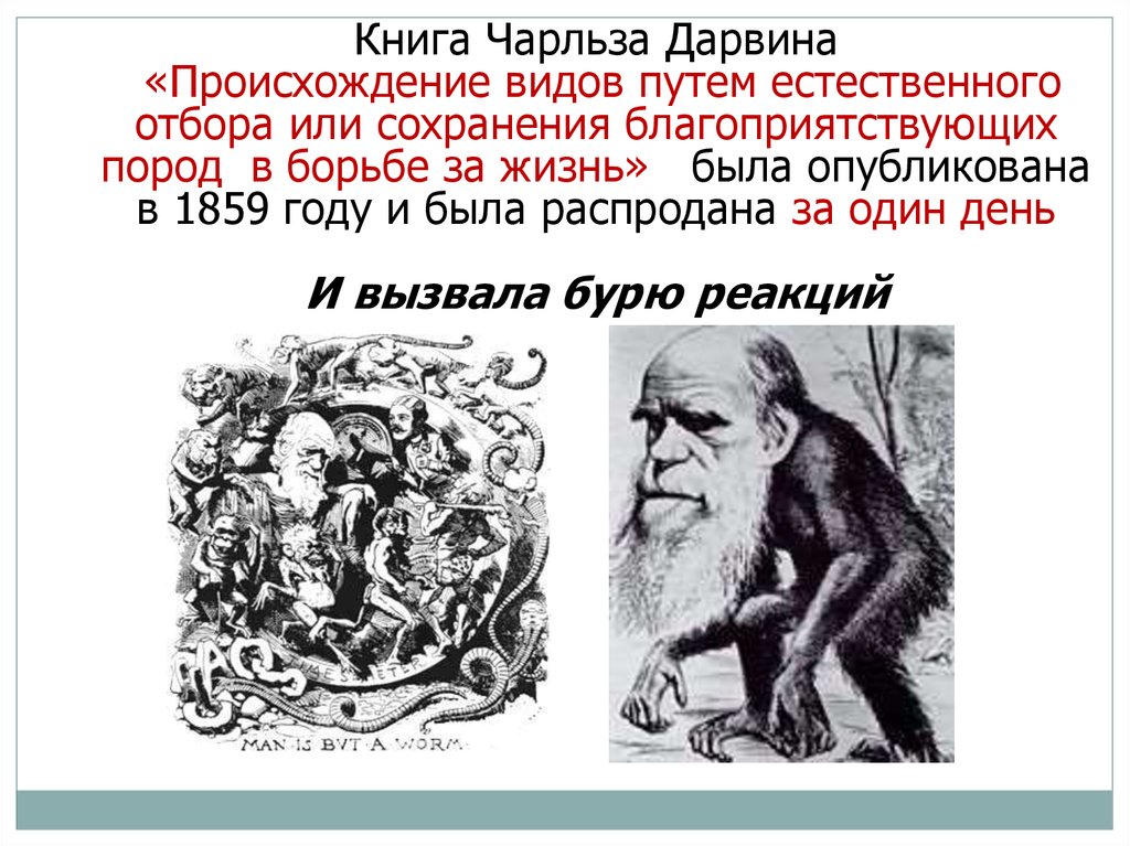 Возникновение типа. Книга Дарвина «происхождение видов путем естественного отбора» (1859). Происхождение видов Чарльз Дарвин. Труд Чарльза Дарвина «происхождение видов». Происхождение видов Чарльз Дарвин книга.