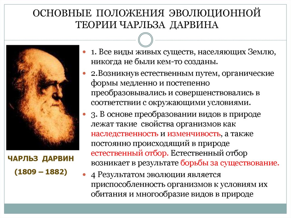 Возникновение эволюционной теории. Эволюционная теория Чарльза Дарвина. Ч Дарвин основные идеи.