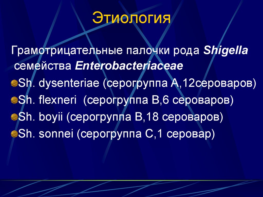 Дизентерия презентация эпидемиология