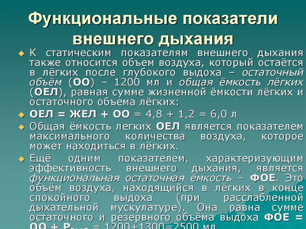 Функциональные возможности дыхательных систем