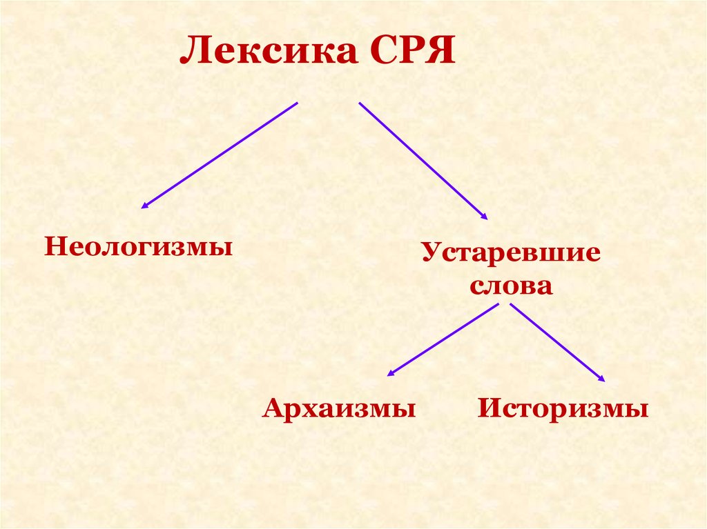 Лексика архаизмы