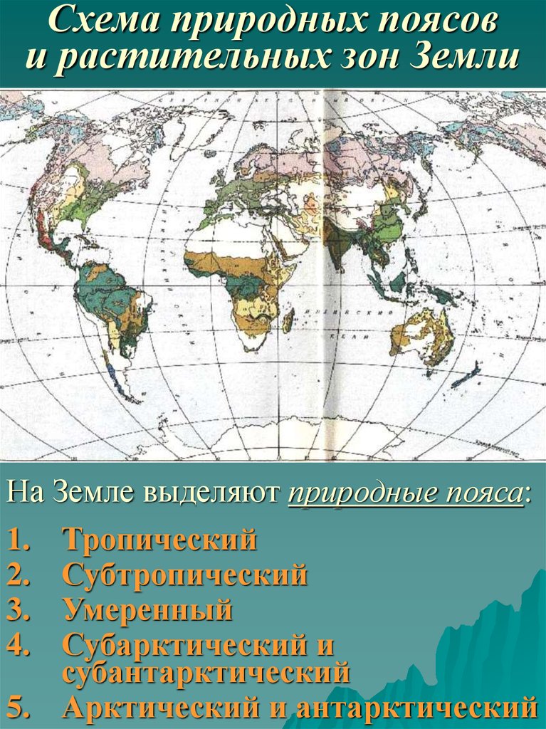 Природные пояса. Природные зоны земли схема. Растительные зоны земли. Растительные пояса.