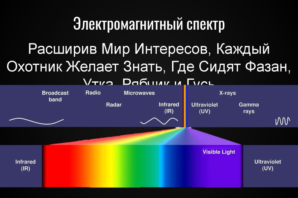 Электромагнитный спектр ИК спектр. Электромагнитное излучение спектр электромагнитного излучения. Шкала электромагнитный спектр. Диапазоны электромагнитного спектра. Видимый спектр инфракрасный и ультрафиолетовый