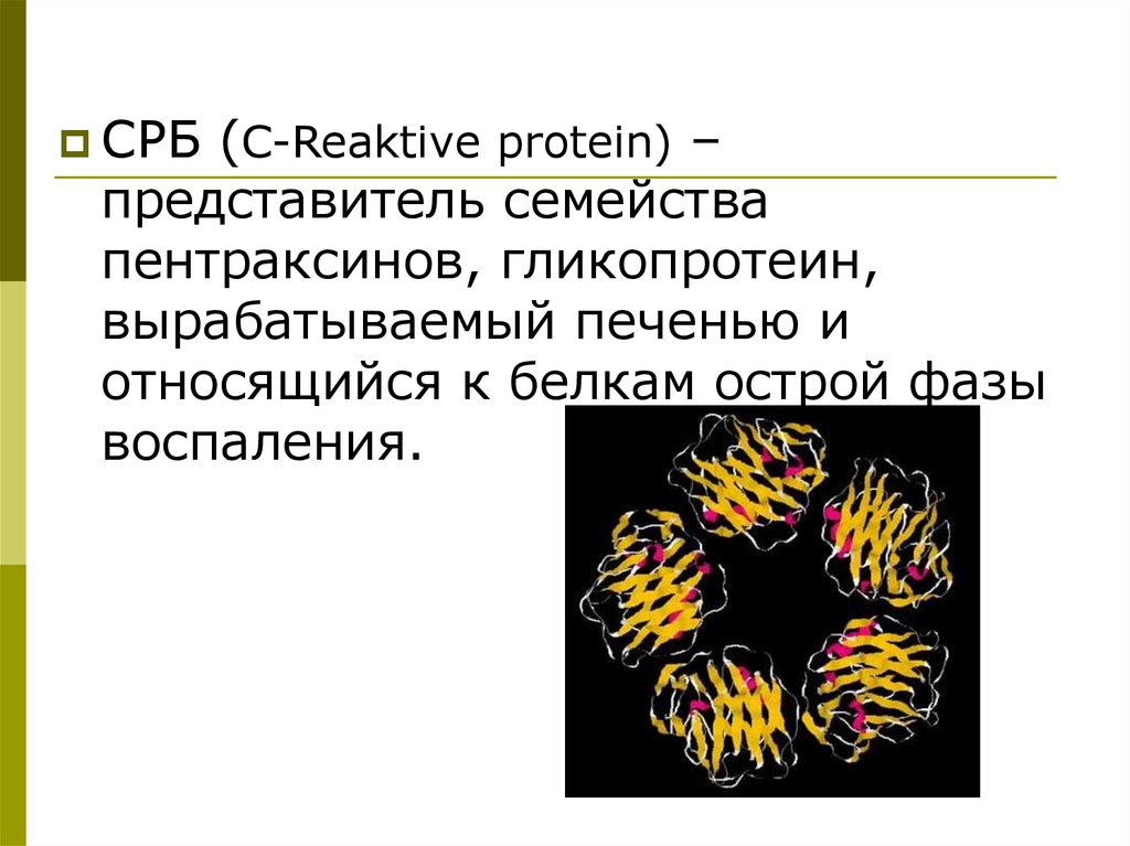 C реактивный белок причины. C-реактивный белок. С-реактивный белок (CRP FS). Ц-реактивный белок виды. Ц реактивный белок функция.