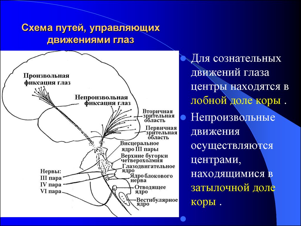 Управляемый путь