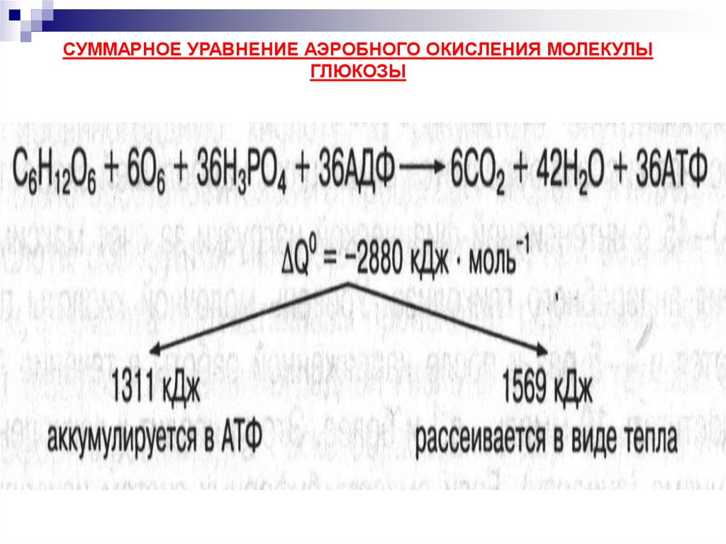 Сколько молекул глюкозы подверглось расщеплению. Суммарная реакция окисления Глюкозы. Суммарное уравнение аэробного окисления Глюкозы. Суммарное уравнение окисления Глюкозы. Суммарная реакция полного окисления Глюкозы.