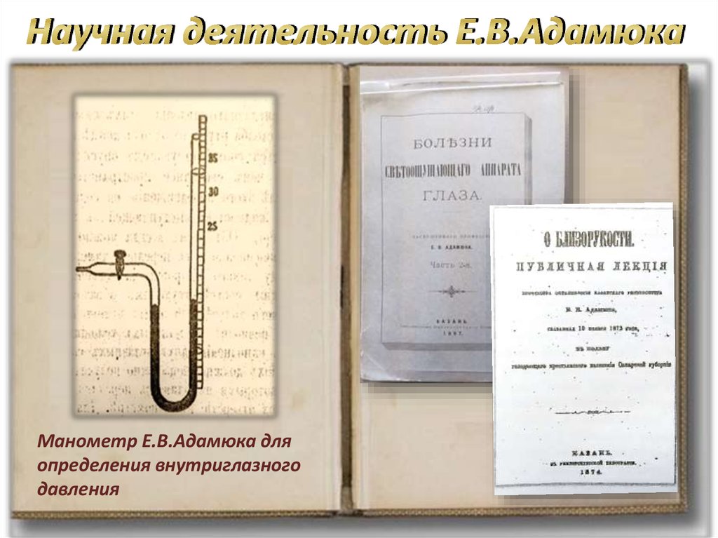 Научная деятельность Е.В.Адамюка