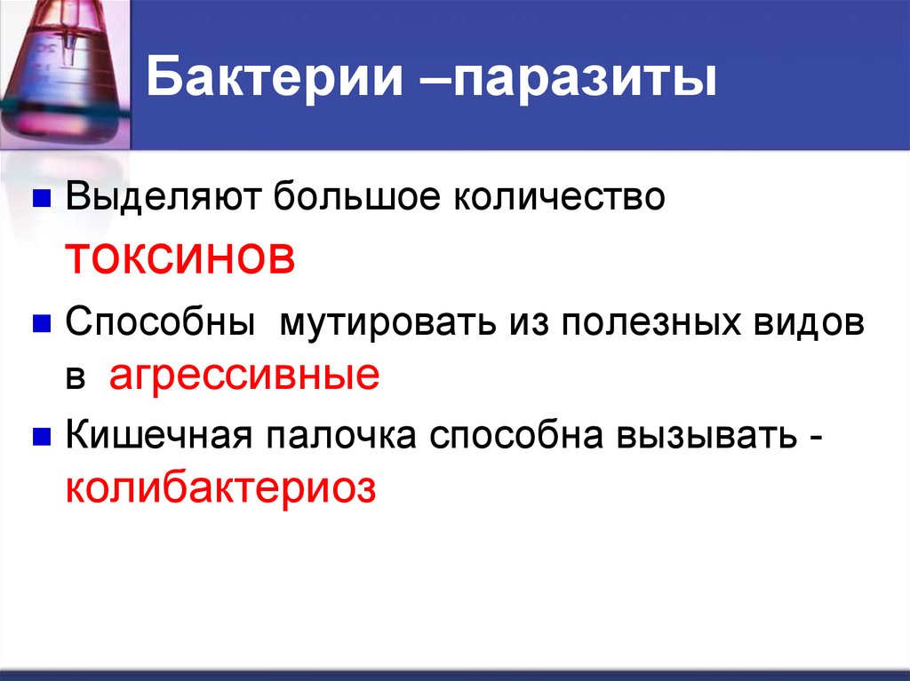 Микробиология на службе человека презентация