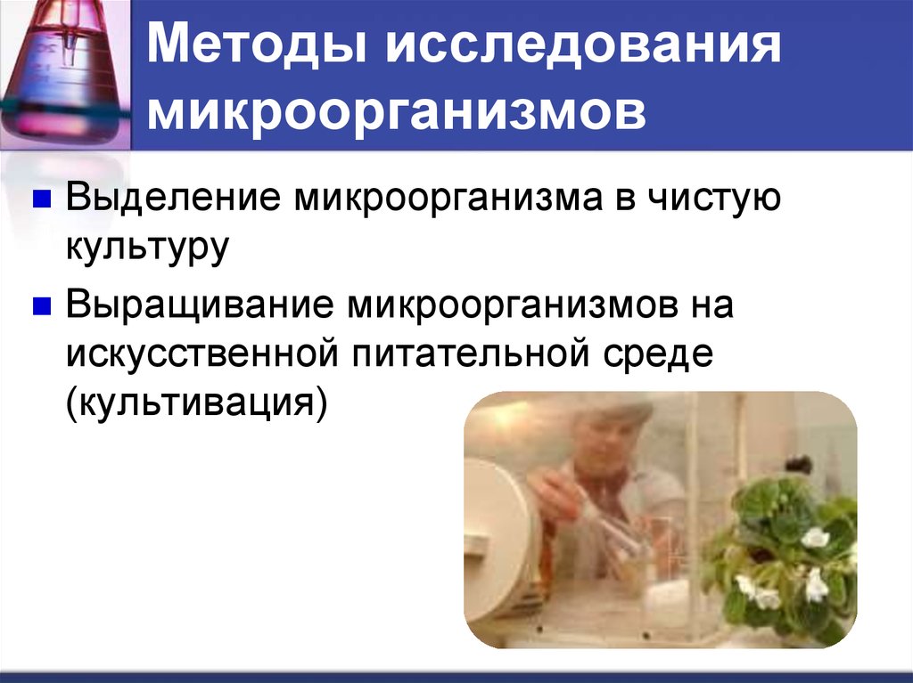 Методы исследования микроорганизмов
