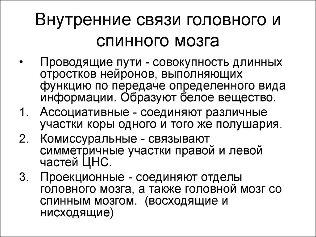 Схема демонстрирующая взаимосвязь спинного и головного мозга