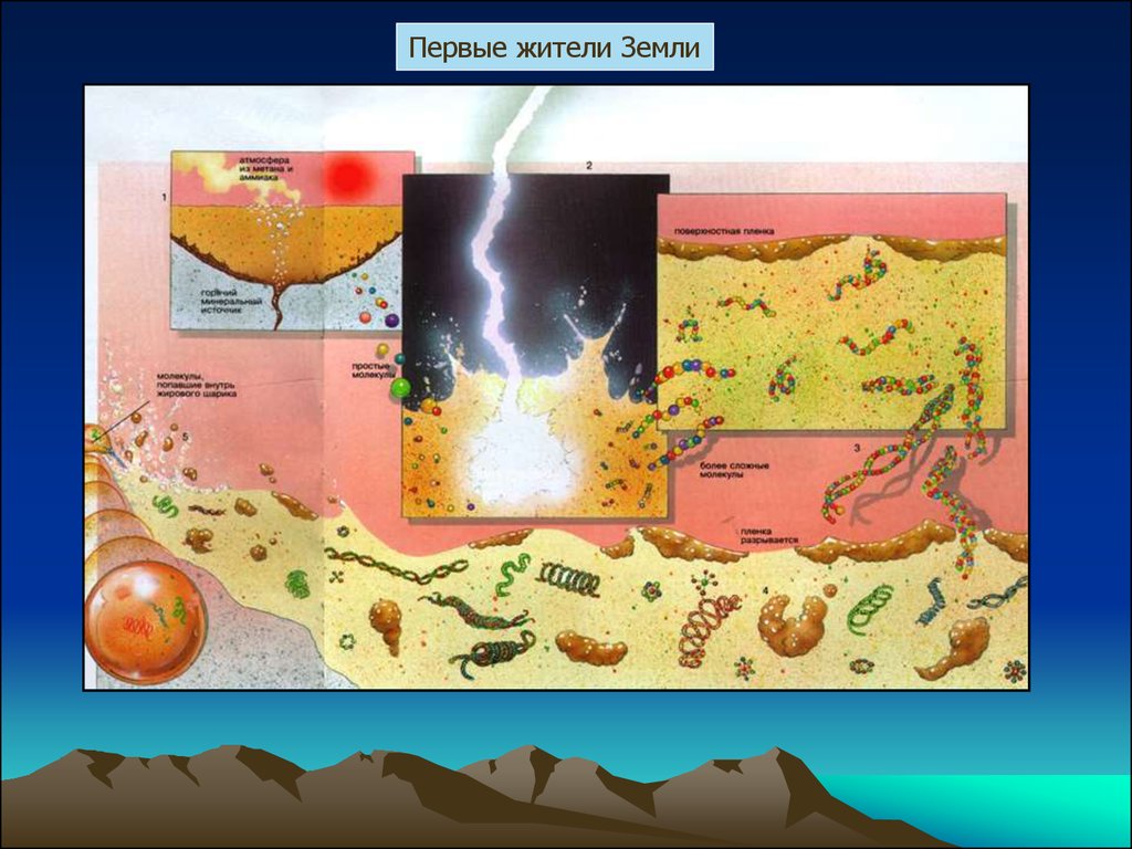 Первобытный бульон это