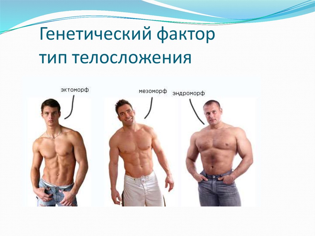 Виды мужчин. Типы телосложения. Типы строения тела. Типы мужских фигур. Эктоморфный Тип телосложения у мужчин.