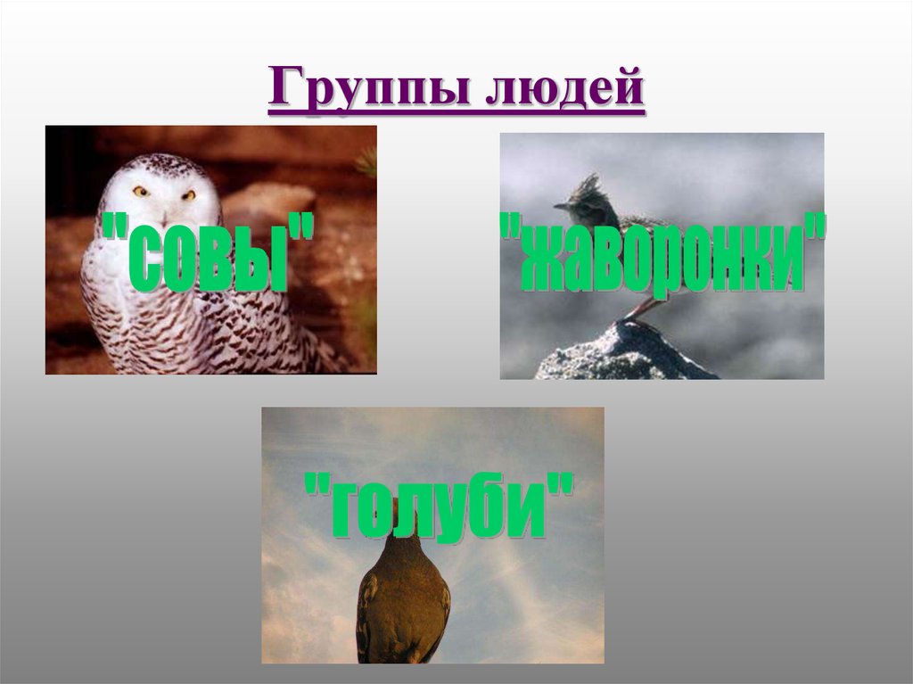 Секреты биологических часов человека у жаворонков и сов презентация