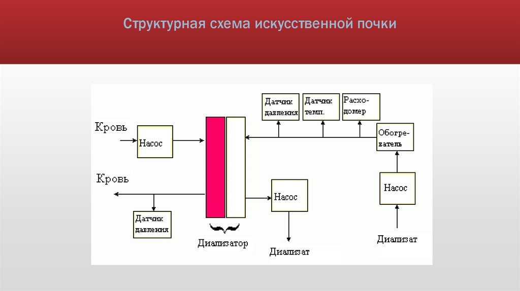 Схема искусственной. Схема структурная искусственной почки. Схема «искусственной почки» кольфа.. Структурная схема аппарата гемодиализа. Схема работы аппарата искусственной почки.