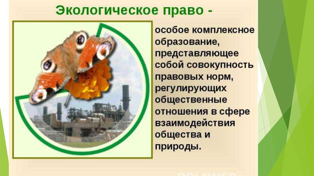 Экологическое право - презентация онлайн