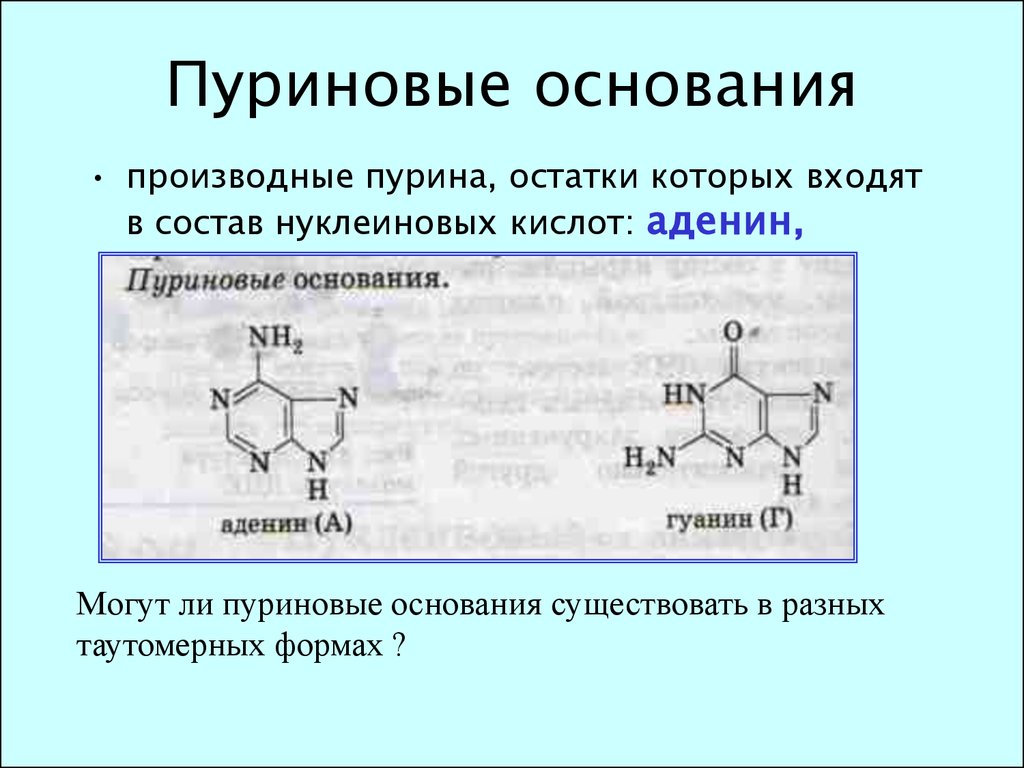 Азотсодержащие гетероциклические соединения презентация