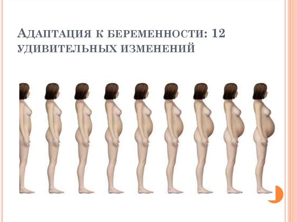 Что такое голубая неделя у девушек