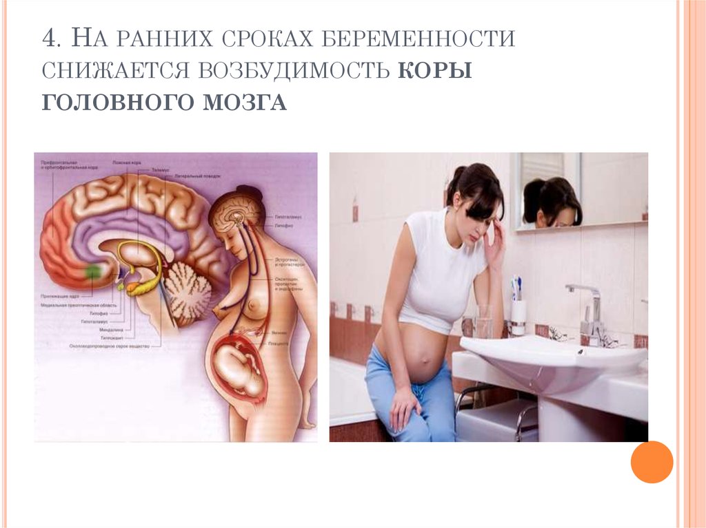 4. На ранних сроках беременности снижается возбудимость коры головного мозга