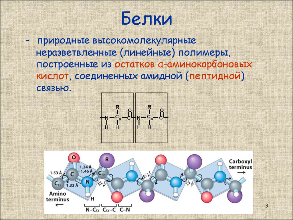 Белки высокомолекулярные соединения. Высокомолекулярные белки. Белки природные полимеры. Мономеры соединяются пептидной связью. Неразветвленные полимеры.