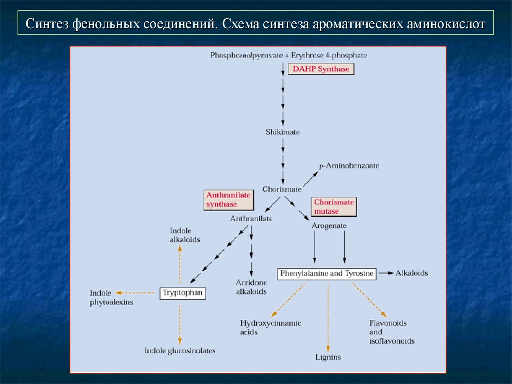 Схема синтез это