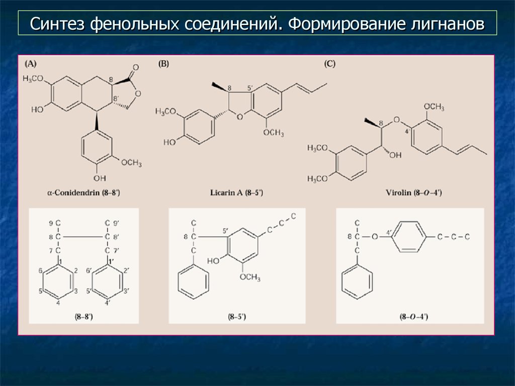 Фенольные соединения презентация