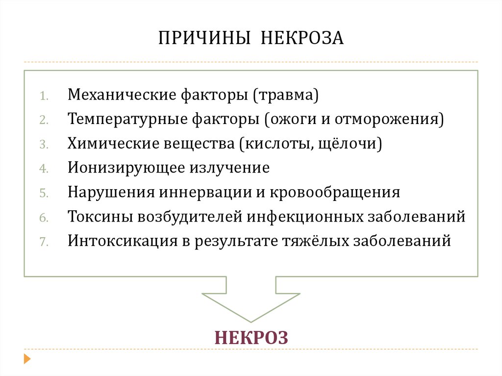 Исходы некроза схема