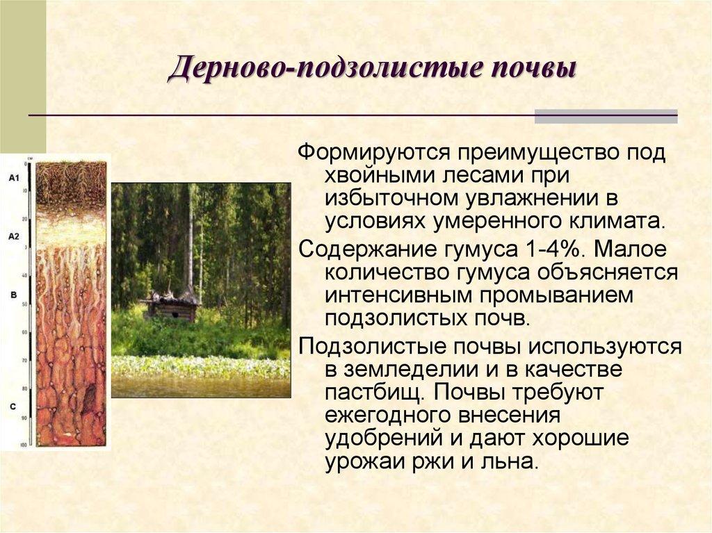 Степень плодородия подзолистых почв. Днрно подзолмстые почвы. Дерново-подзолистые почвы характеристика. Описание дерново-подзолистой почвы кратко. Характеристика почвы дерново подзолистые почвы.