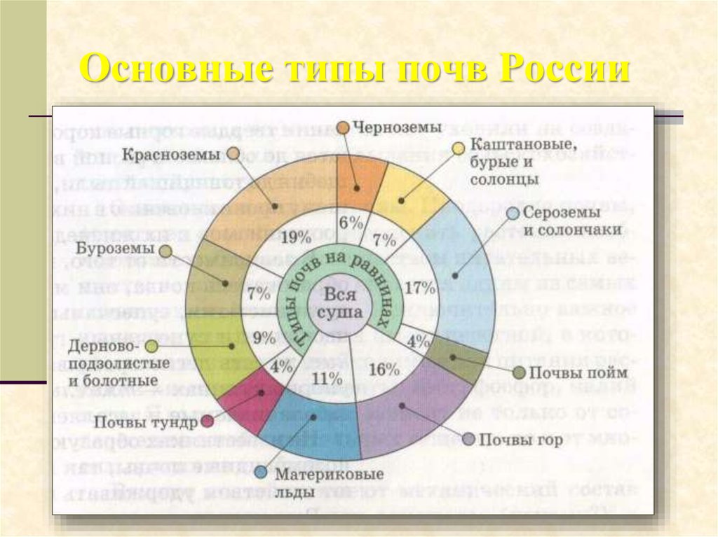 Основные типы почв России