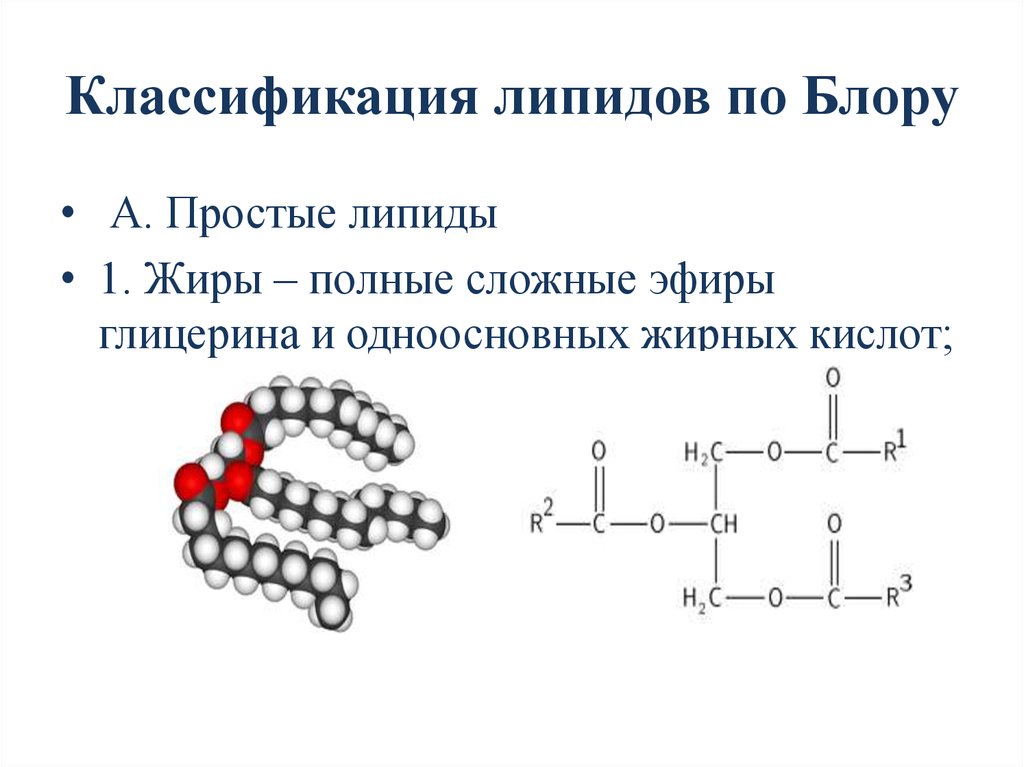 Простые жиры. Строение липидов 2. Строение липидов биология. Липиды состав и строение. Химическое строение липидов.