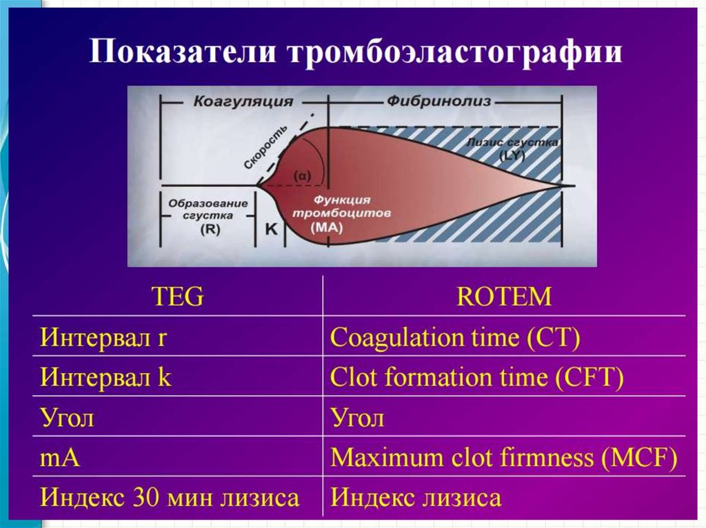 Гормональный гемостаз схема