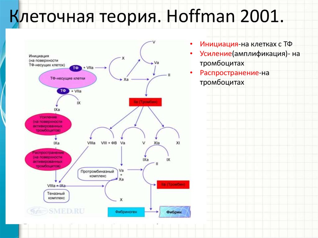 Схема отмены тирозола