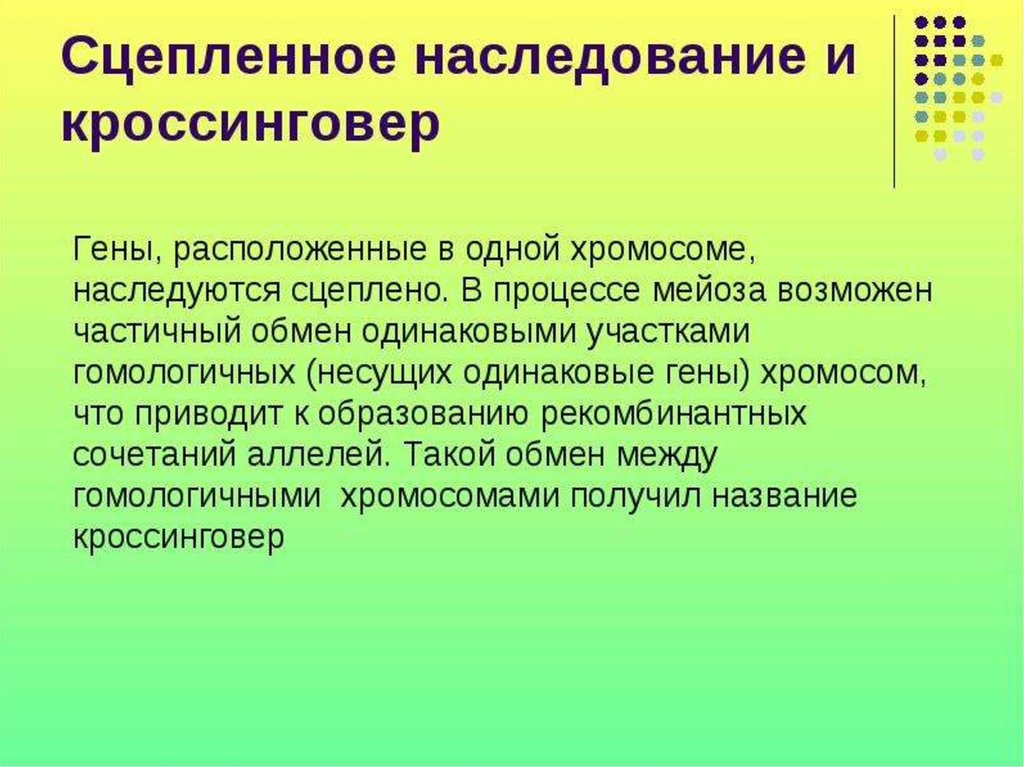 Сцепленное наследование генов презентация 9 класс