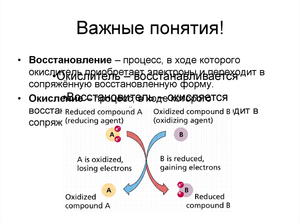 Процесс восстановления это. Восстановление понятие. Восстановительно окислительный процесс онлайн. Термин восстановление. Очень важные понятия.