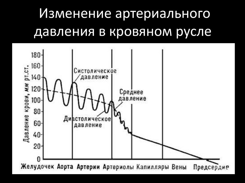 Частое изменение