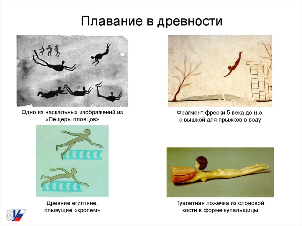 История плавания презентация