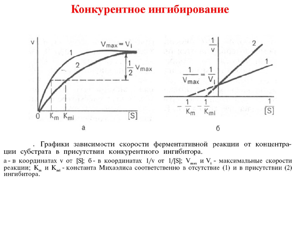 Неконкурентное ингибирование схема