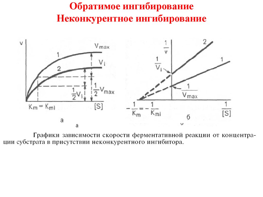 Неконкурентное ингибирование схема