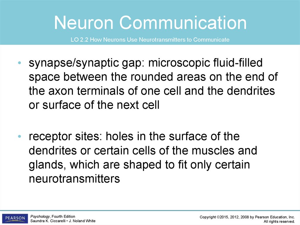 The biological perspective - online presentation