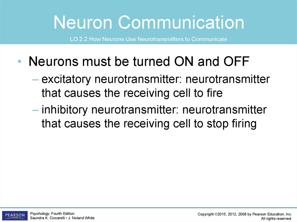 Neuron Communication