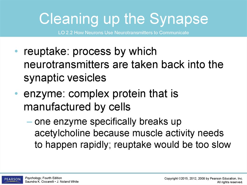Cleaning up the Synapse