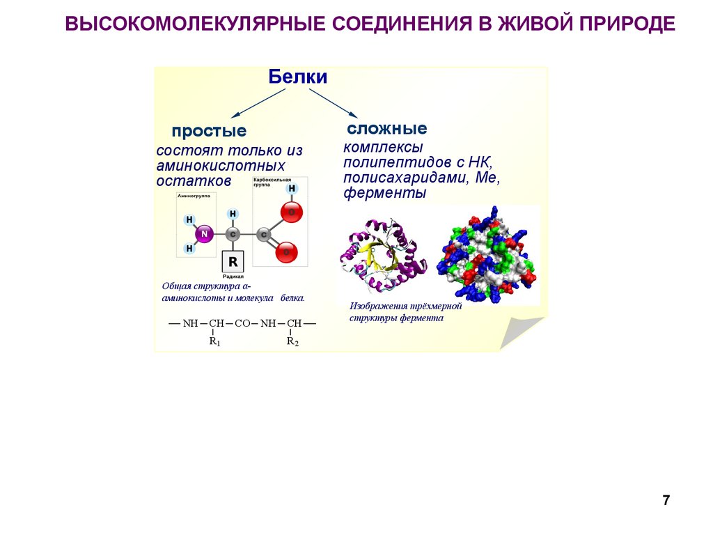 Высокомолекулярные соединения. Строение синтетических высокомолекулярных соединений. Природные высокомолекулярные соединения (полимеры). Высокомолекулярные соединения полимеры. Низкомолекулярные и высокомолекулярные соединения примеры.