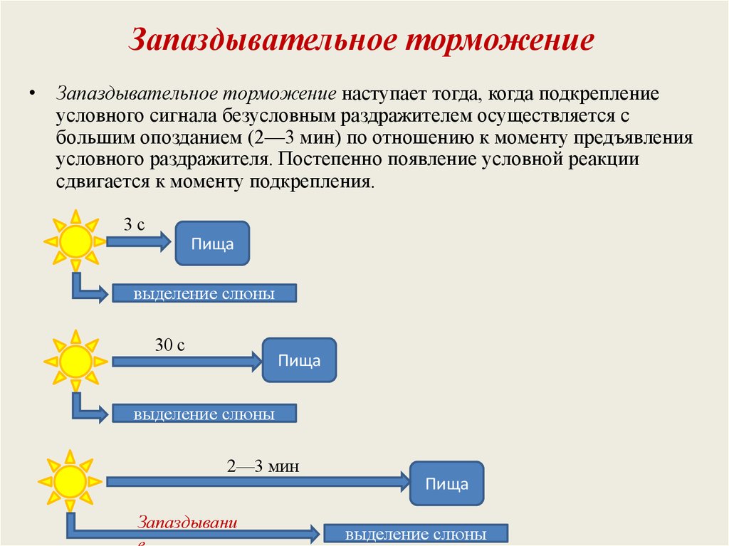 Торможение. Запаздывающее торможение примеры. Запаздывающее торможение условных рефлексов. Торможение запаздывания примеры. Торможение запаздывания примеры у человека.