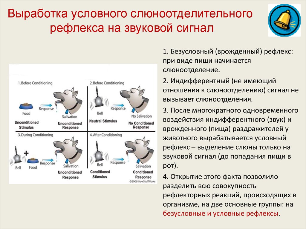 Различия условных