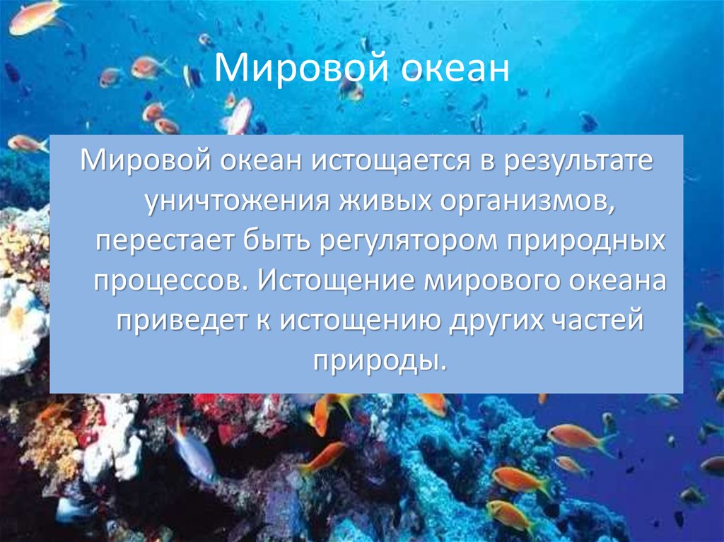 Виды экологических проблем в океане. Живые организмы мирового океана. Истощение мирового океана. Роль мирового океана на земле. Понятие мировой океан.