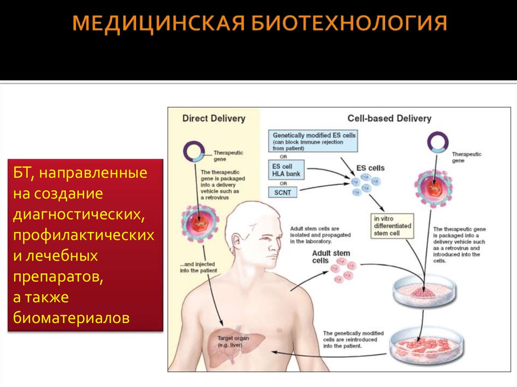 Медицинские биотехнологии презентация