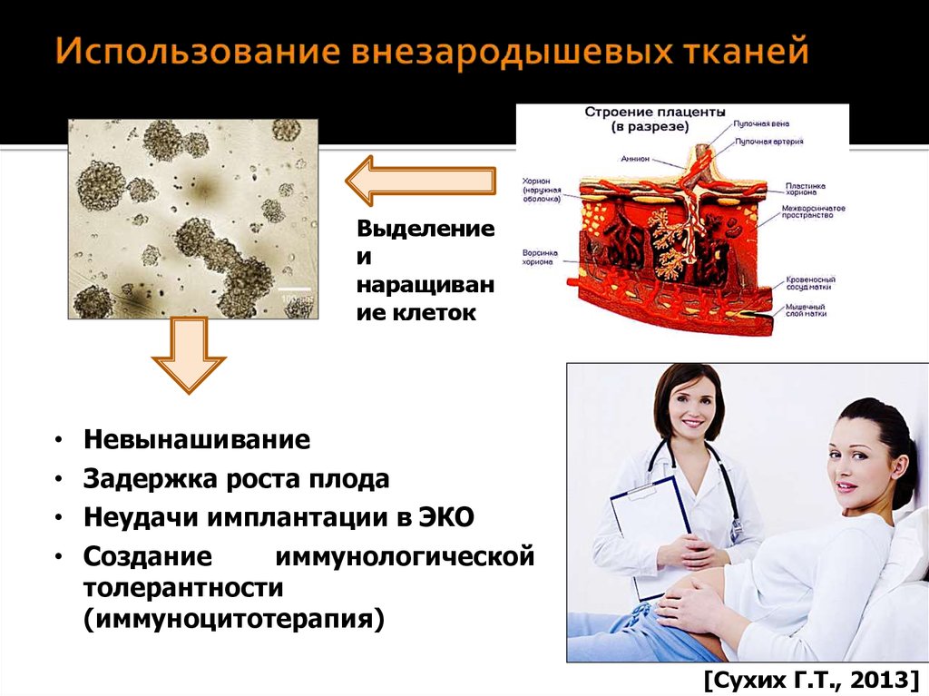 Медицинские биотехнологии презентация