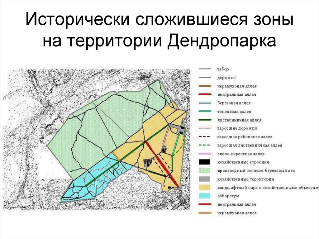 Схема дендропарка киров