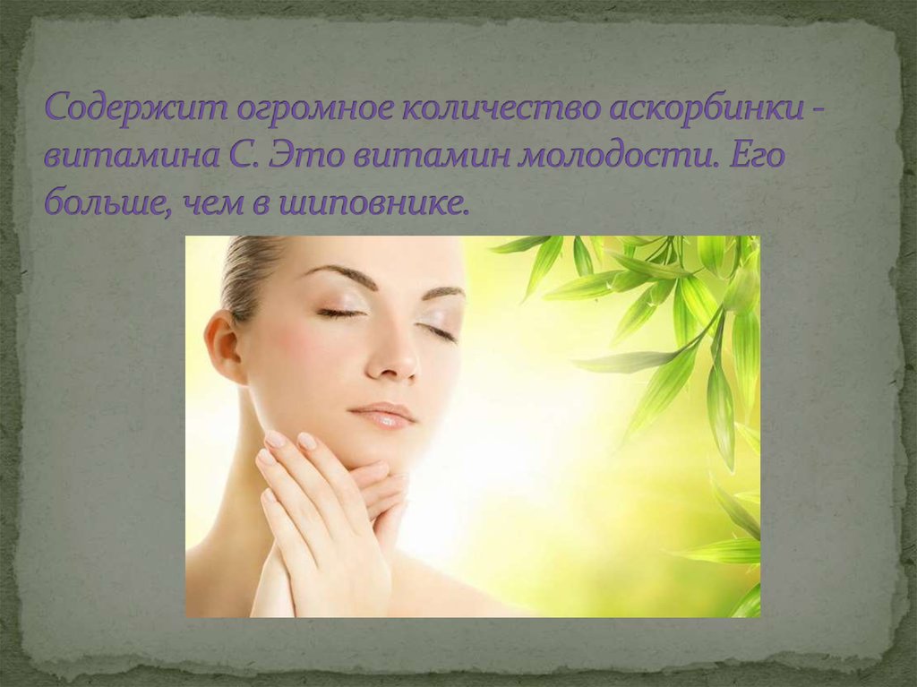 Содержит огромное количество аскорбинки - витамина С. Это витамин молодости. Его больше, чем в шиповнике.